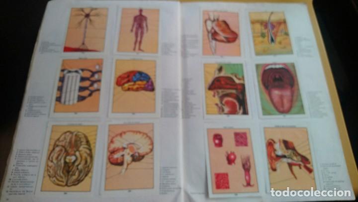 Coleccionismo &aacute;lbum: ciencias naturales 1 - Foto 11