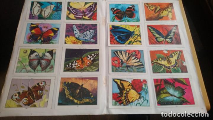 Coleccionismo &aacute;lbum: ciencias naturales 1 - Foto 12