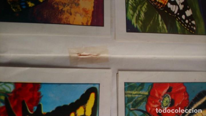 Coleccionismo &aacute;lbum: ciencias naturales 1 - Foto 15