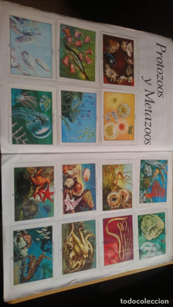 Coleccionismo &aacute;lbum: ciencias naturales 1 - Foto 16