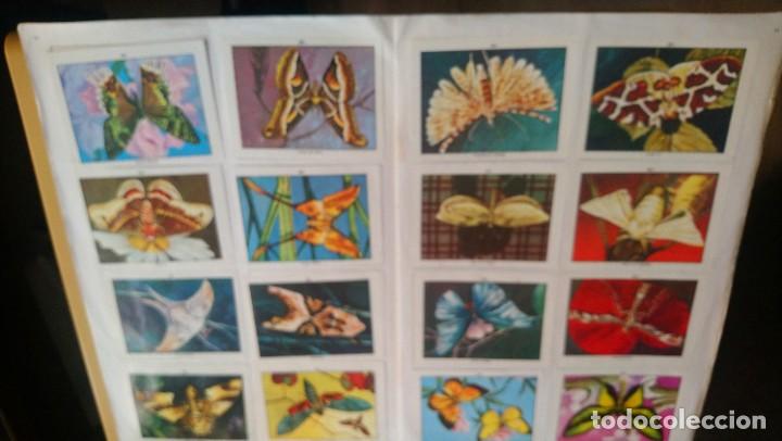 Coleccionismo &aacute;lbum: ciencias naturales 1 - Foto 18