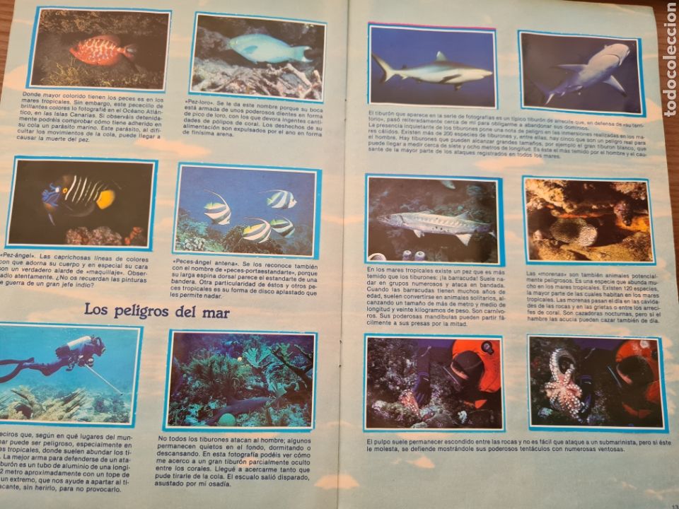 Coleccionismo &aacute;lbum: MIS AMIGOS LOS PECES - Foto 2