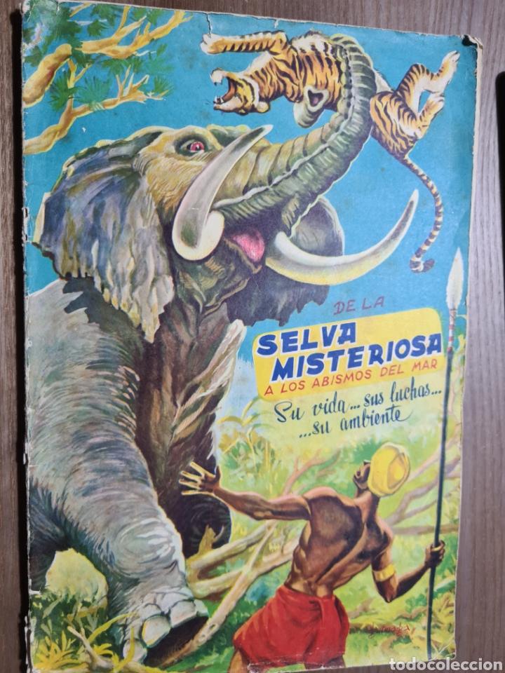 Sammeln Sammelalbum: DE LA SELVA MISTERIOSA A LOS ABISMOS DEL MAR