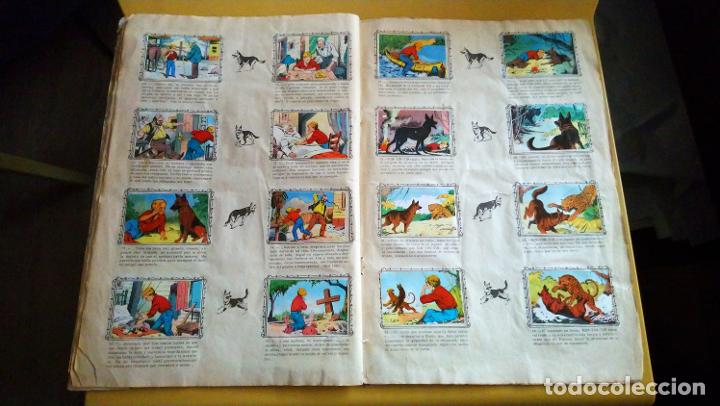 Coleccionismo &aacute;lbum: rin tin tin - Foto 14