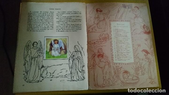 Coleccionismo &aacute;lbum: estampas de la biblia - Foto 6