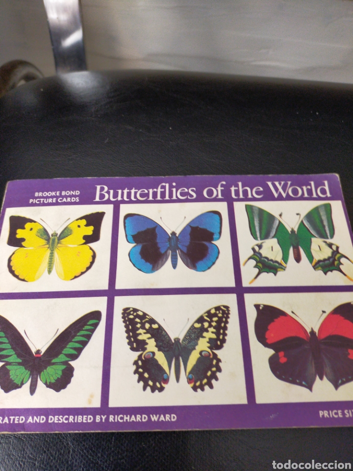 Collectable Albums: ANTIGUO ALBUM INGL&Eacute;S MARIPOSAS DEL MUNDO COMPLETO ESTADO NORMAL