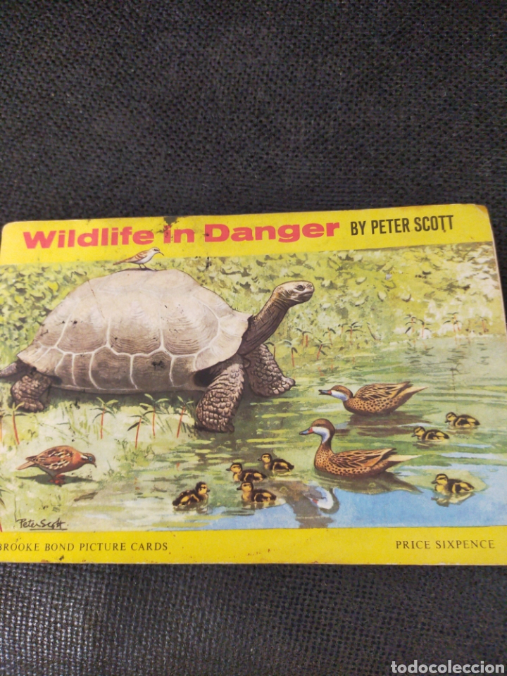 Collectable Albums: ANTIGUO ALBUM INGL&Eacute;S COMPLETO ANIMALES SALVAJES EN PELIGRO