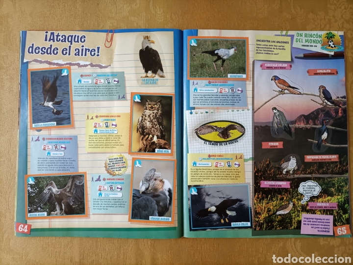 Coleccionismo &aacute;lbum: Animales, colecci&oacute;n completa de cromos - Foto 5