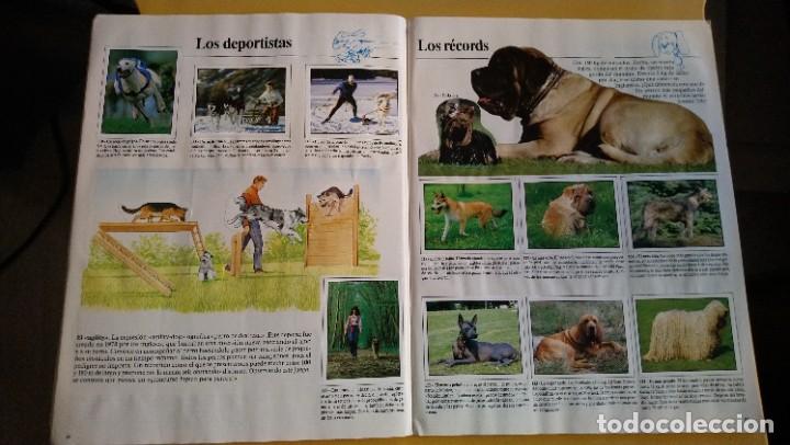 Coleccionismo &aacute;lbum: animales domesticos - Foto 5