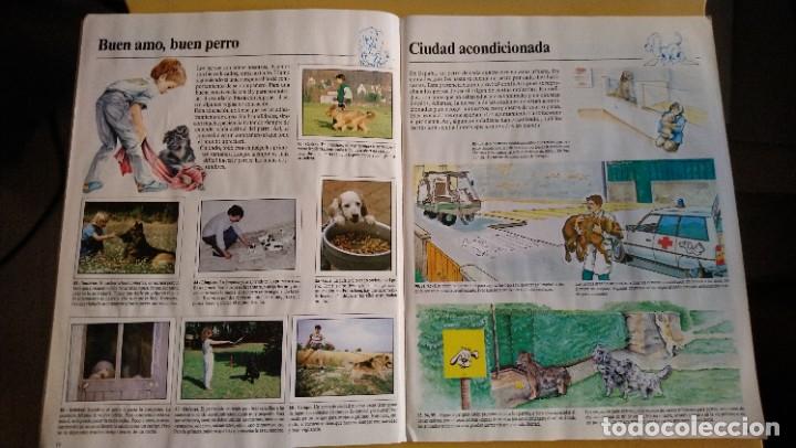 Coleccionismo &aacute;lbum: animales domesticos - Foto 6