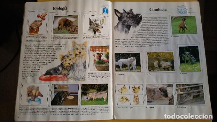 Coleccionismo &aacute;lbum: animales domesticos - Foto 7