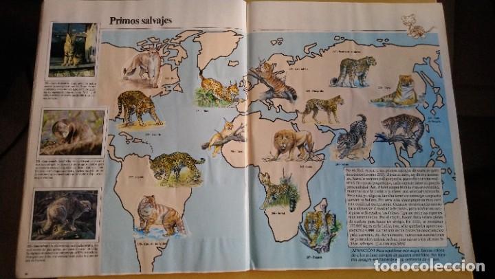 Coleccionismo &aacute;lbum: animales domesticos - Foto 13