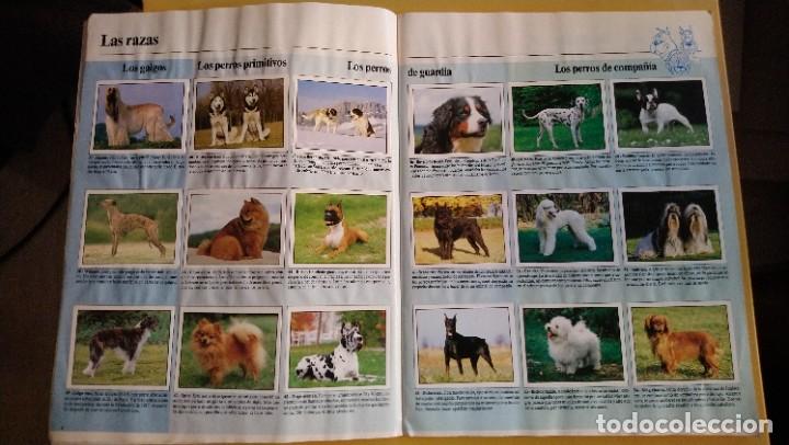 Coleccionismo &aacute;lbum: animales domesticos - Foto 14