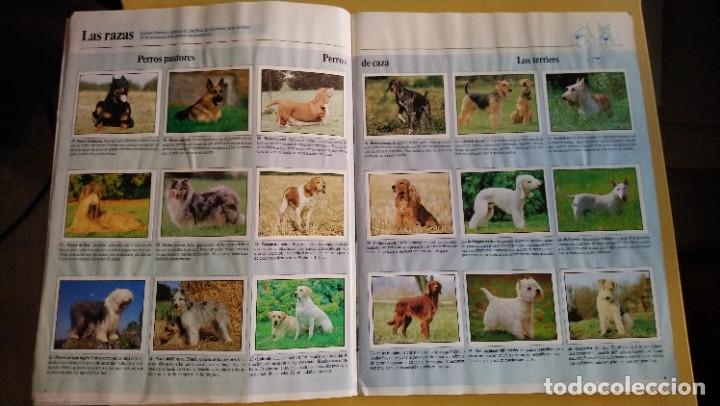 Coleccionismo &aacute;lbum: animales domesticos - Foto 16