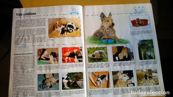 Coleccionismo &aacute;lbum: animales domesticos - Foto 17