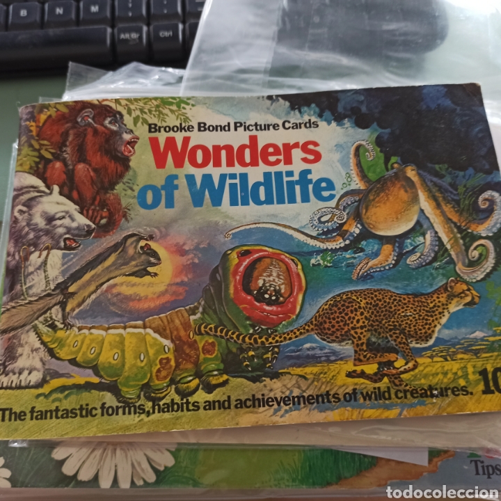 Colecionismo Caderneta: Wonders of Wildlife (Maravillas del Mundo Animal). Album completo