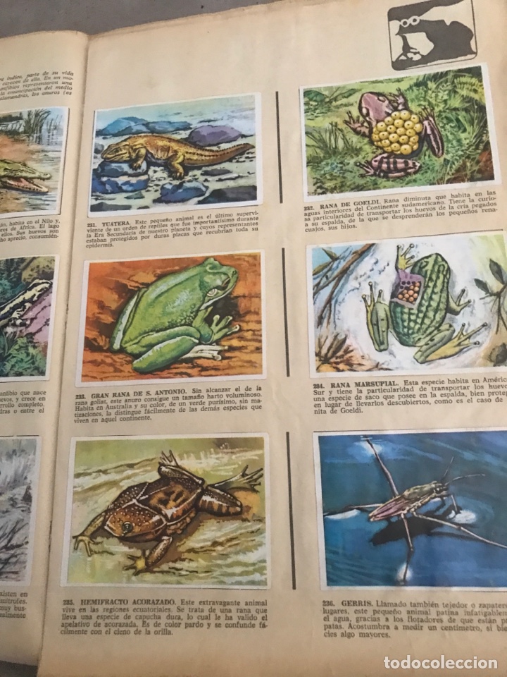 Coleccionismo &aacute;lbum: Historia Natural - Foto 3