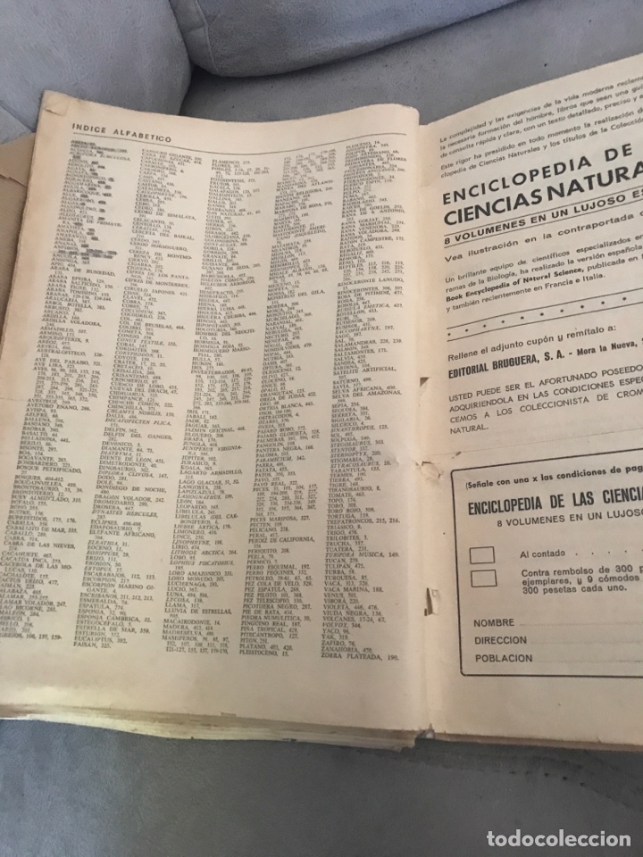 Coleccionismo &aacute;lbum: Historia Natural - Foto 5