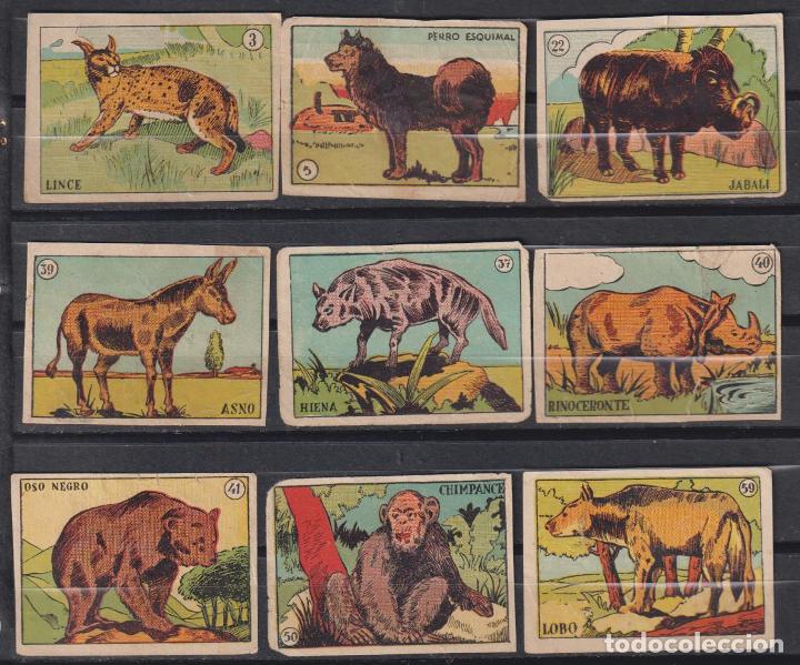 Collezionismo &Aacute;lbum: Cromos Cultura. Bruguera, a&ntilde;os 40. Lote de 9 cromos: 3, 5, 22, 37, 39, 40, 41, 50 y 59