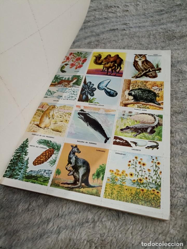 Coleccionismo &aacute;lbum: Historia natural estampas completo - Foto 3