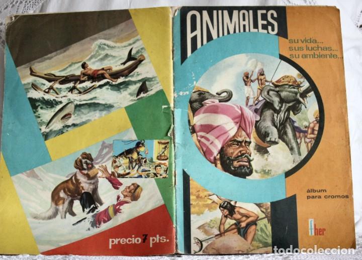 Coleccionismo &aacute;lbum: ANIMALES -COMPLETO - Foto 1