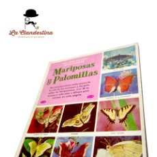 Coleccionismo Álbum: UN LIBRO DE ORO DE ESTAMPAS. NOVARO MÉXICO. MARIPOSAS Y PALOMILLAS. COMPLETO. 1963. Nº54.. Lote 362914415