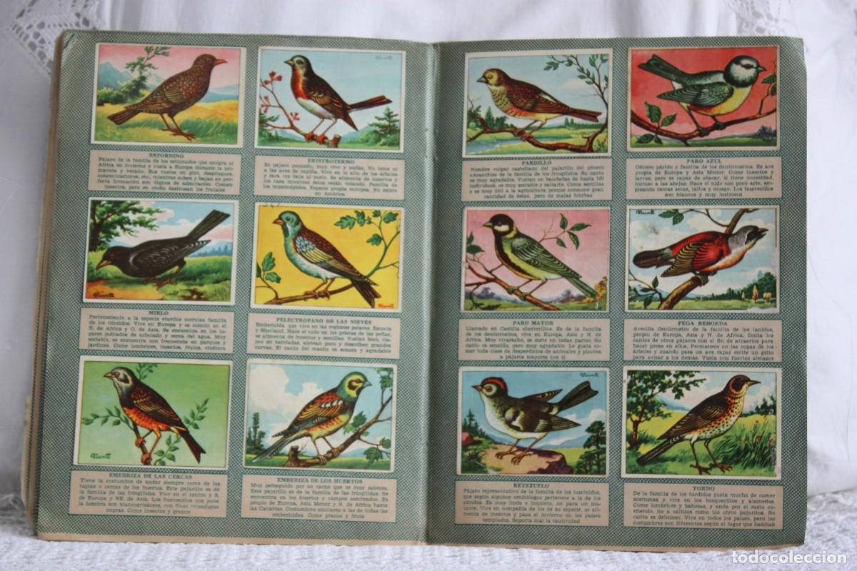 Coleccionismo &aacute;lbum: HISTORIA NATURAL 2&ordm; -COMPLETO - Foto 2
