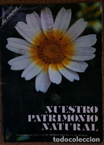 Collectionnisme Album: Album Nuestro Patrimonio Natural.Completo.144 cromos.Caja Murcia