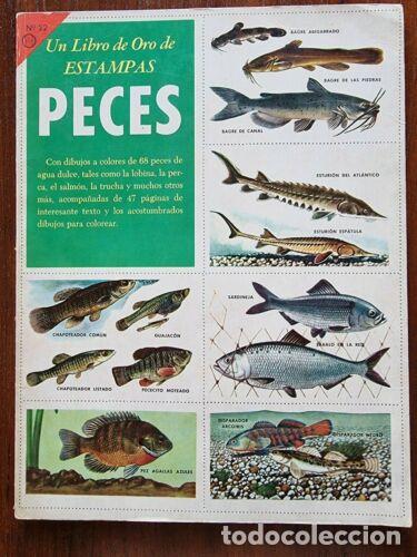 Collectionnisme Album: Album Peces.Completo 36 cromos.Novaro