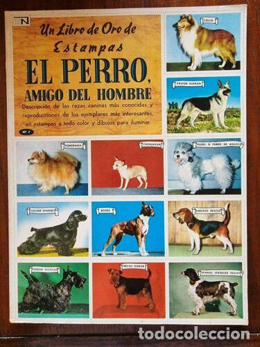 Collectionnisme Album: Album El Perro Amigo del Hombre.Completo 48 cromos.Novaro