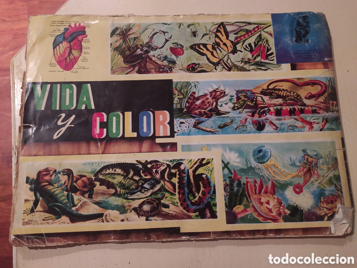 Coleccionismo &aacute;lbum: Album Vida y Color - Foto 2