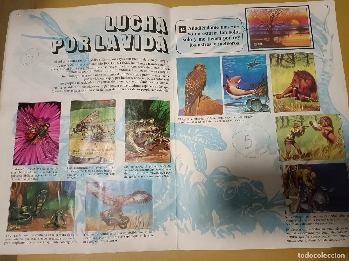 Coleccionismo &aacute;lbum: el libro de las adivinanzas - Foto 5