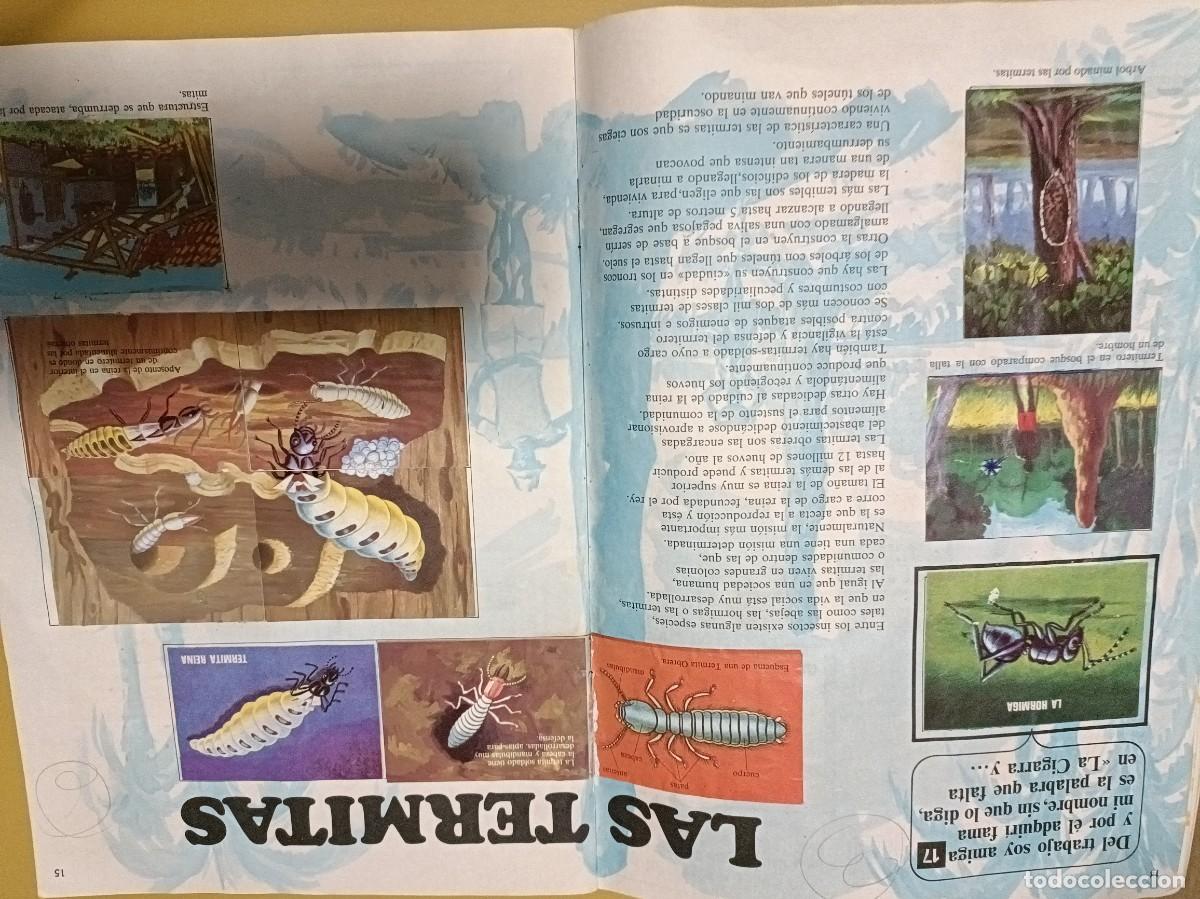 Coleccionismo &aacute;lbum: el libro de las adivinanzas - Foto 20
