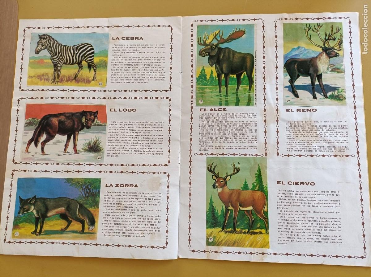 Coleccionismo &aacute;lbum: los animales n&ordm; 1 - Foto 3