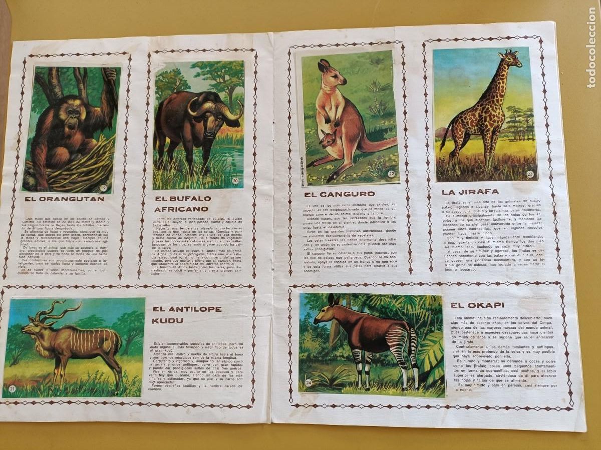 Coleccionismo &aacute;lbum: los animales n&ordm; 1 - Foto 4
