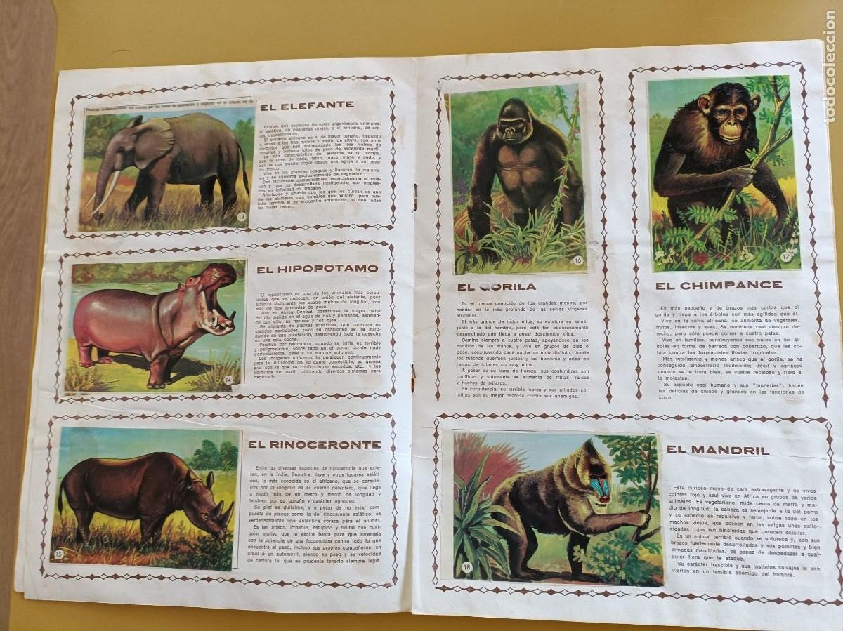 Coleccionismo &aacute;lbum: los animales n&ordm; 1 - Foto 5