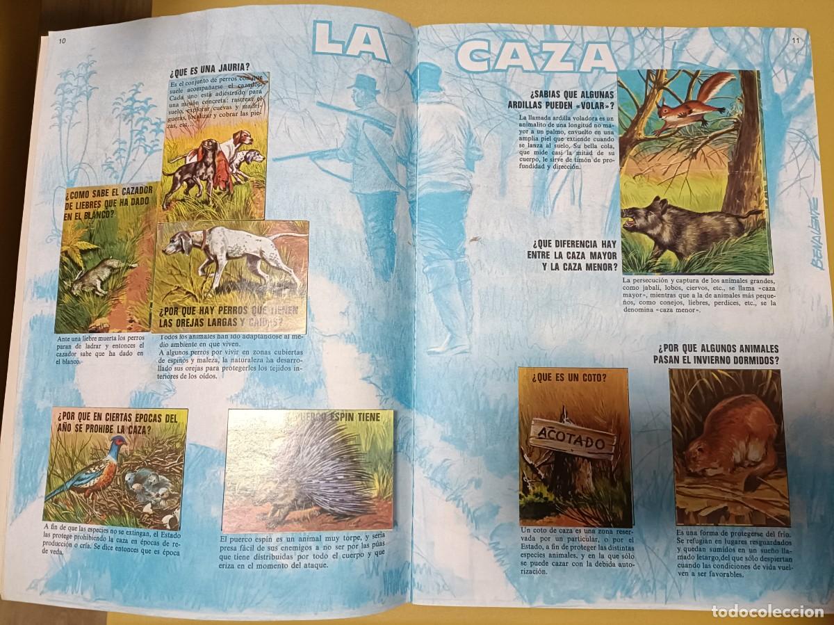 Coleccionismo &aacute;lbum: el porque de las cosas 3 - Foto 4