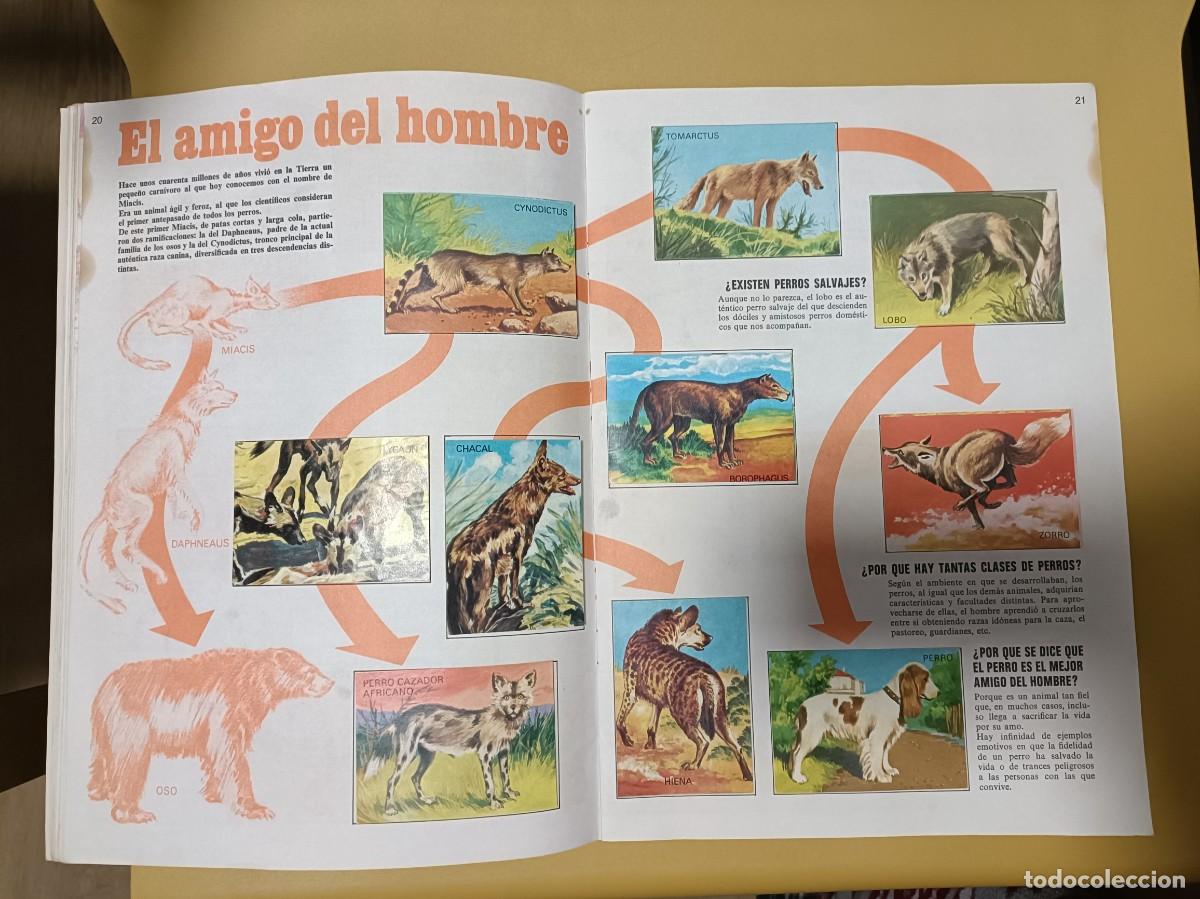 Coleccionismo &aacute;lbum: el porque de las cosas 3 - Foto 11