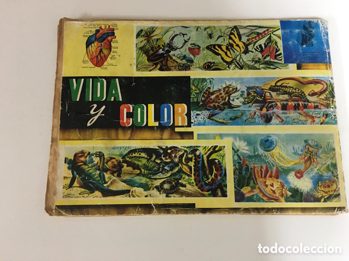Collectable Albums: &Aacute;lbum cromos VIDA Y COLOR