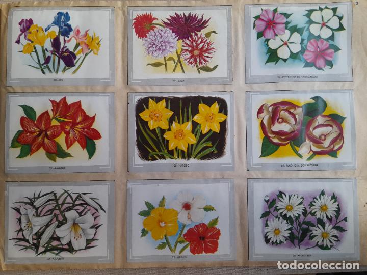 Coleccionismo &aacute;lbum: Vida y color. Completo. - Foto 2