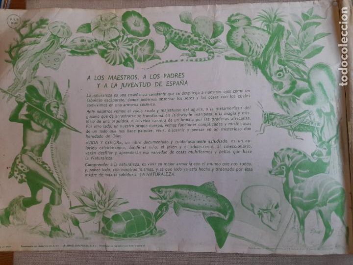 Coleccionismo &aacute;lbum: Vida y color. Completo. - Foto 3