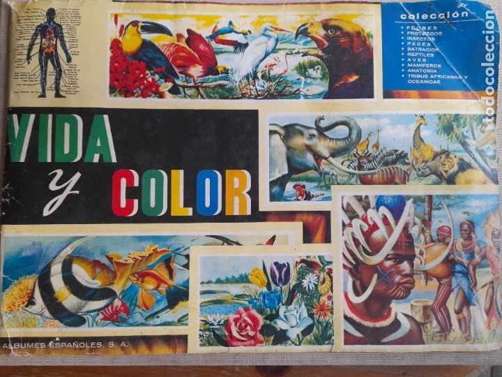 Coleccionismo &aacute;lbum: Vida y color. Completo. - Foto 1