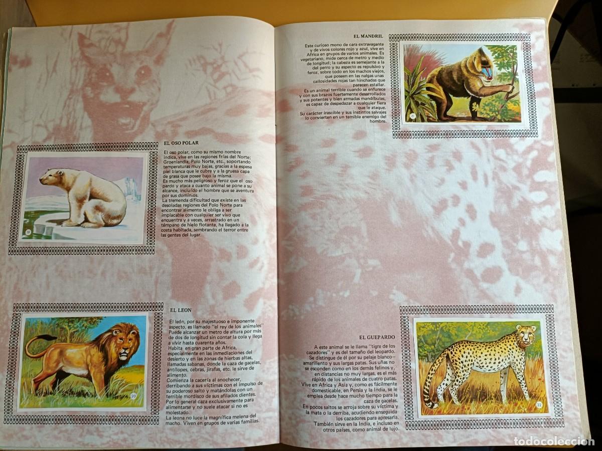 Coleccionismo &aacute;lbum: album de oro de los animales - Foto 2
