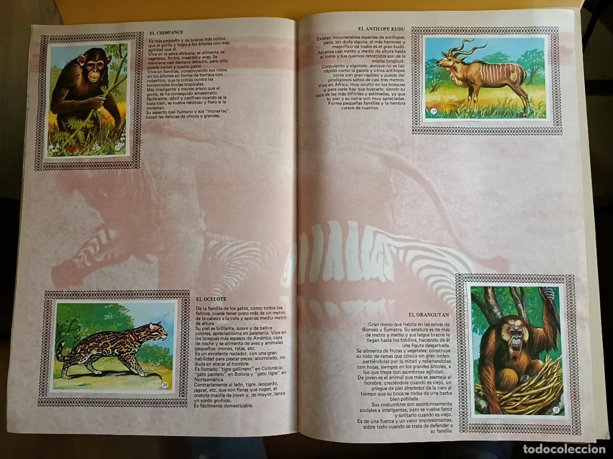Coleccionismo &aacute;lbum: album de oro de los animales - Foto 3