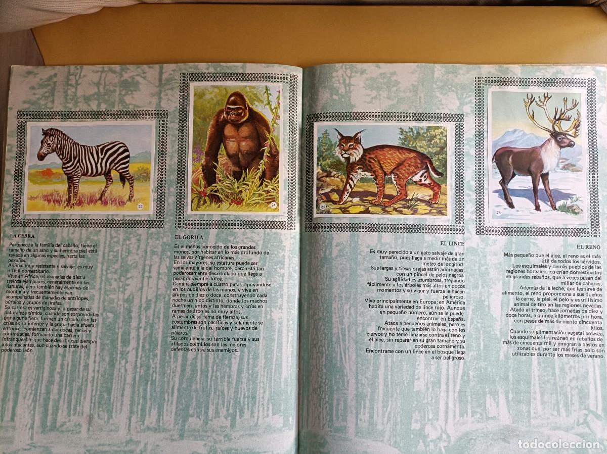 Coleccionismo &aacute;lbum: album de oro de los animales - Foto 5