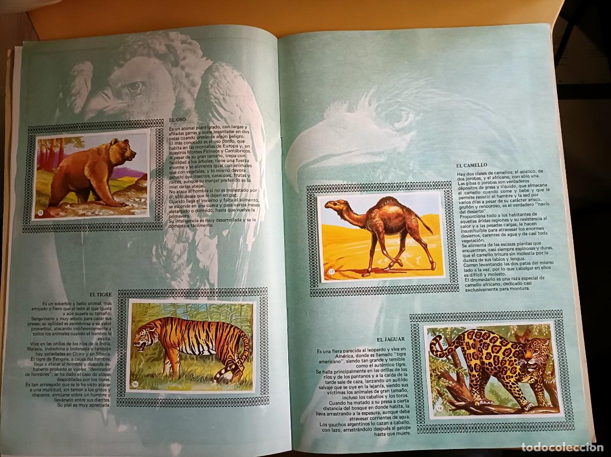 Coleccionismo &aacute;lbum: album de oro de los animales - Foto 6