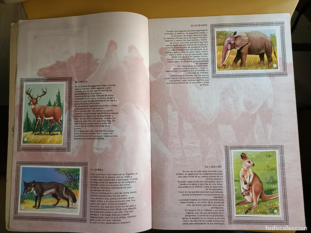 Coleccionismo &aacute;lbum: album de oro de los animales - Foto 8