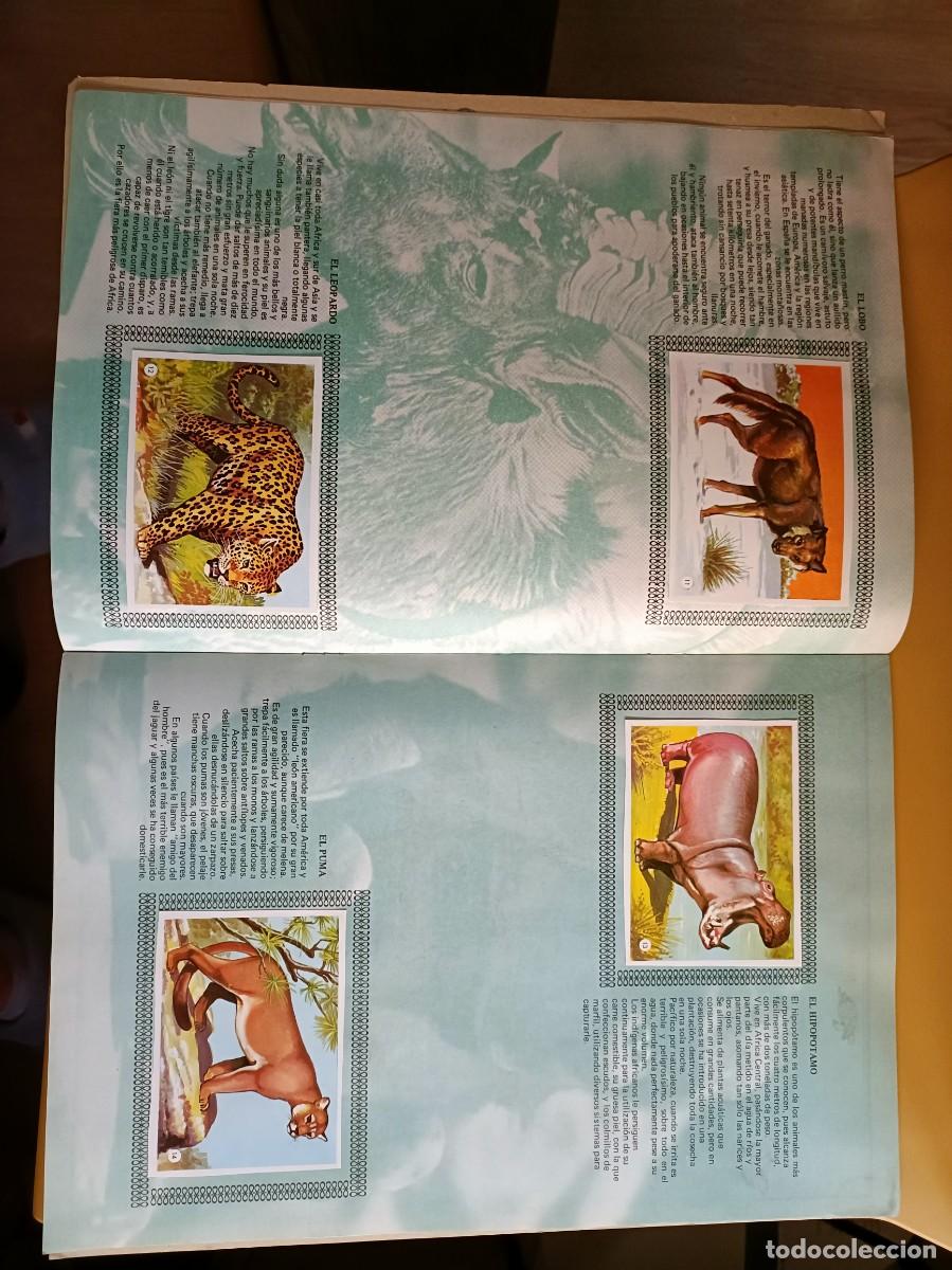 Coleccionismo &aacute;lbum: album de oro de los animales - Foto 11