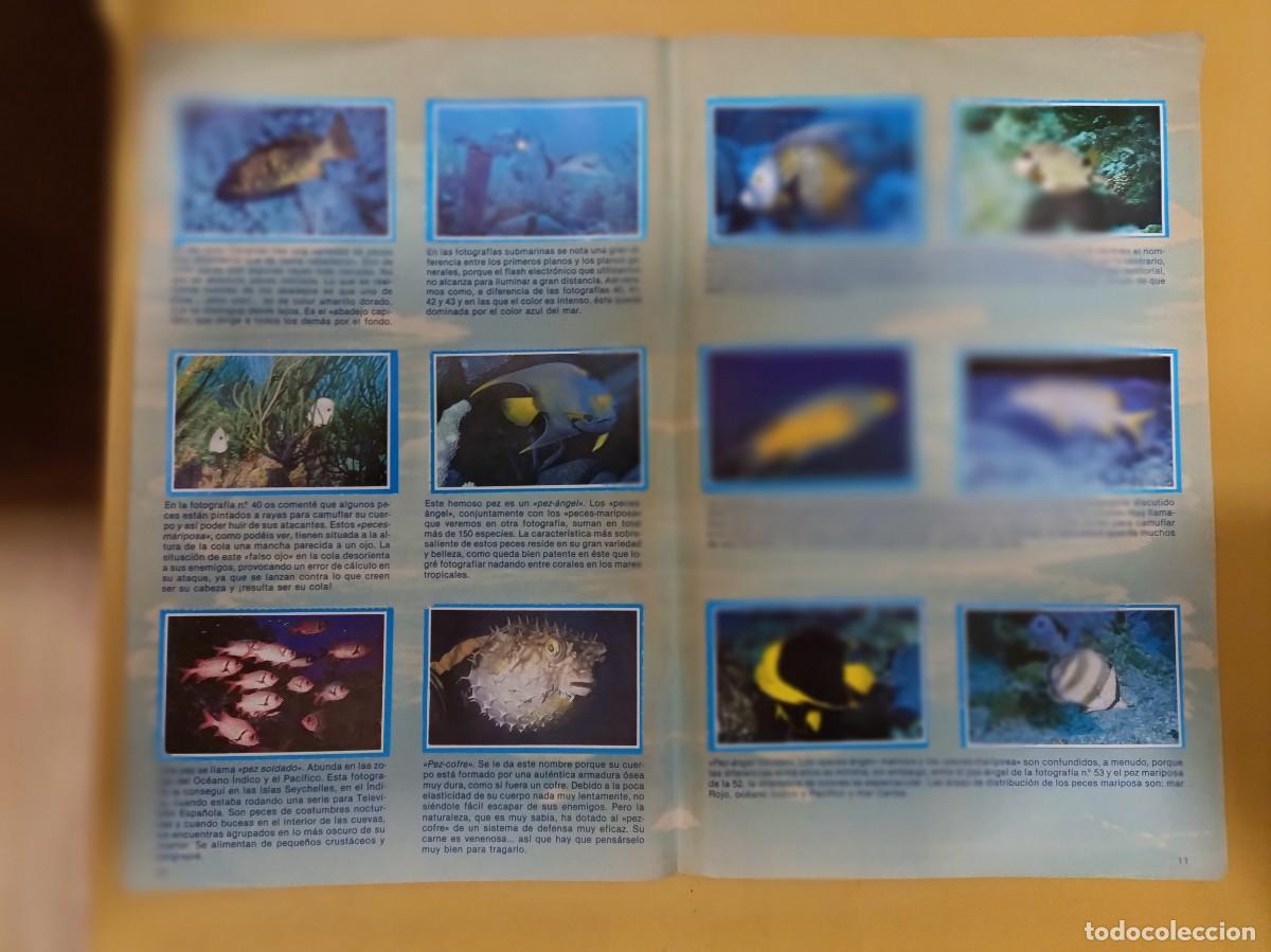 Coleccionismo &aacute;lbum: mis amigos los peces - Foto 6