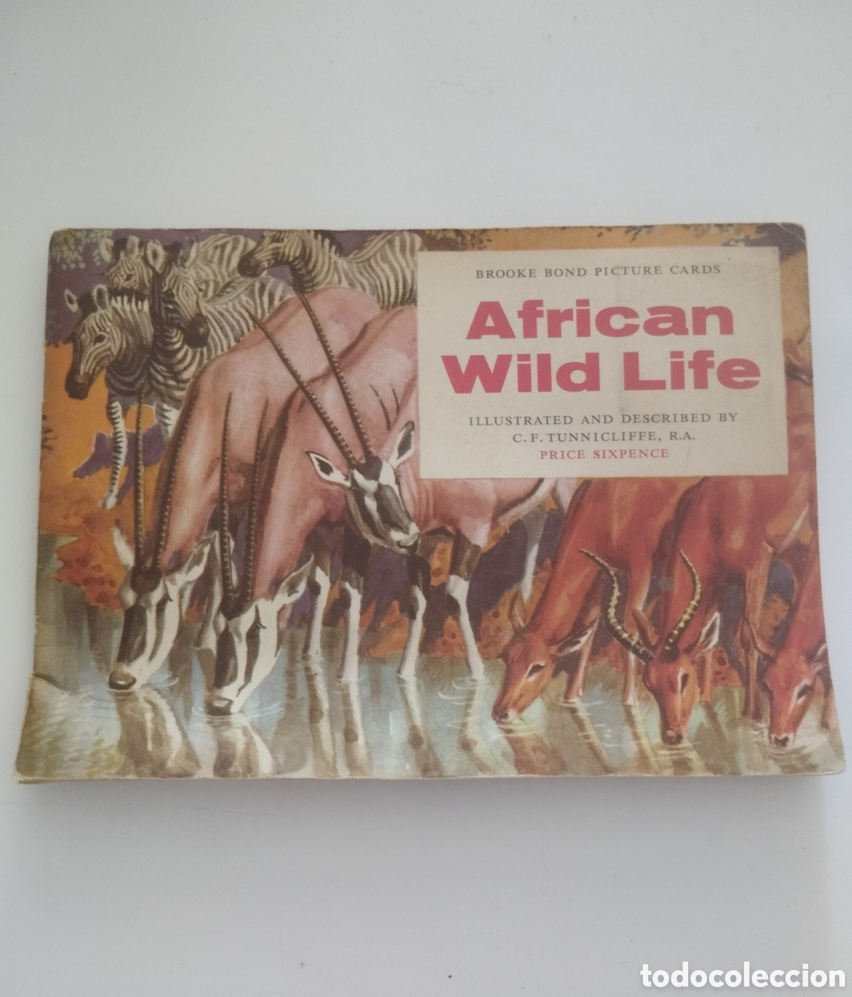 Coleccionismo &Aacute;lbum: &Aacute;lbum de Cromos Completo African Wild Life.
